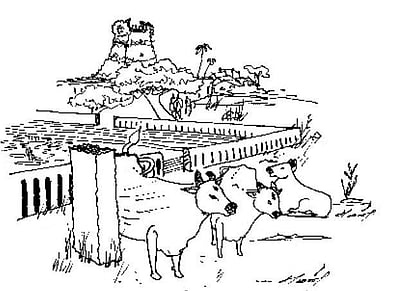 பண்பாட்டின் சின்னம் மொழி