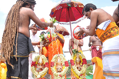 எலத்தகிரி திரெளபதியம்மன், போத்துராஜா கோயில் கும்பாபிஷேக விழா