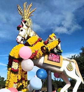 ஆயக்காரன்புலம் அய்யனாா் கோயில் குதிரைத் திருவிழா