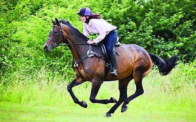 குதிரைப் பந்தயம்!