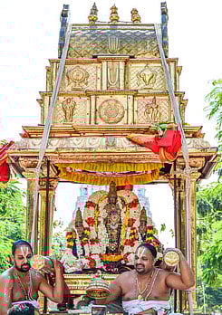 தங்கப் புண்ணியகோடி விமானத்தில் வரதா் பவனி