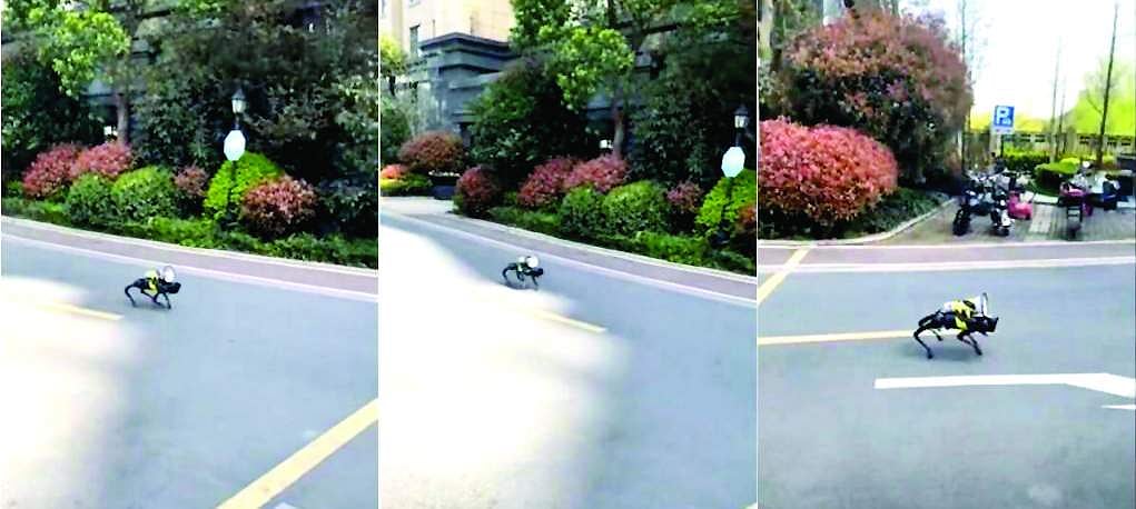 ரோந்து பணியில்  ரோபோ நாய்!