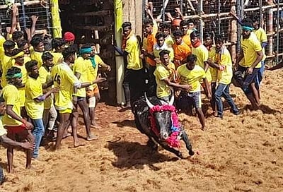 மருங்காபுரி கரடிப்பட்டியில் ஜல்லிக்கட்டு