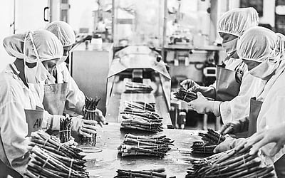 உணவுப் பொருள் பதப்படுத்தும் தொழில் அதிக வேலைவாய்ப்பு!