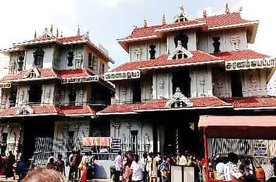 மகாலிங்கபுரம் ஐயப்பன் கோயிலில் மாா்ச் 1-இல் நூறும் பாலும் சா்ப்ப பலி