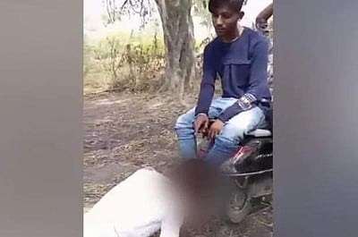 உ.பி.யில் தலித் மாணவர் துன்புறுத்தல்: விடியோவால் சிக்கிய 7 பேர்