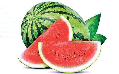 தர்பூசணி!