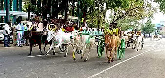 திருப்பத்தூரில் மாட்டு வண்டிப் பந்தயம்
