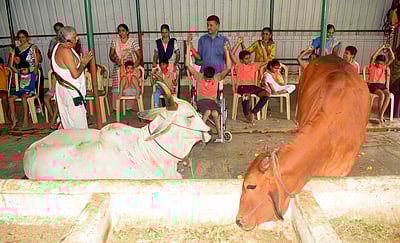 இஸ்கானில் சிறப்பு கோ பூஜை