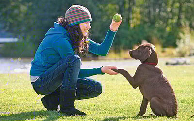 ரத்தத்தின் ரத்தமே... - 63