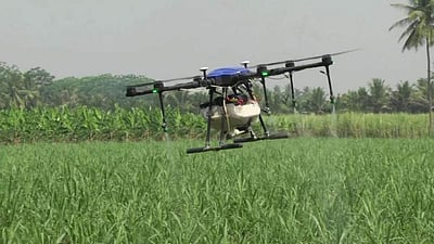 ஈரோடு: ட்ரோன் பயன்படுத்தி கரும்பு பயிருக்கு மருந்து தெளிப்பது குறித்த செயல் விளக்கம்