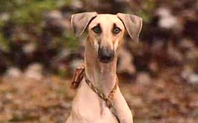 இணைய வெளியினிலே...