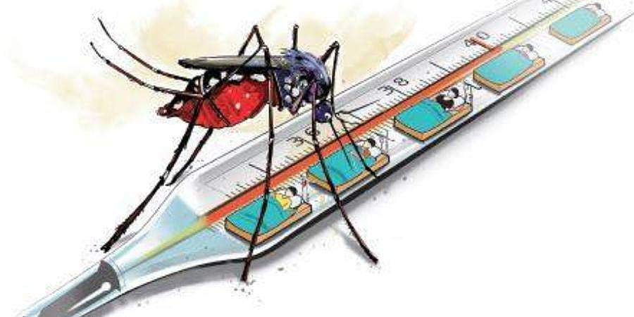 முடிவுக்கு வருமா கொசுத்தொல்லை?