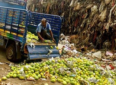 ரசாயனம் தடவிய 4,500 கிலோ மாம்பழங்கள் பறிமுதல்