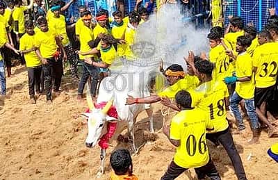 மணப்பாறை கே.உடையாப்பட்டியில் ஜல்லிக்கட்டு: 650 காளைகள் பங்கேற்பு