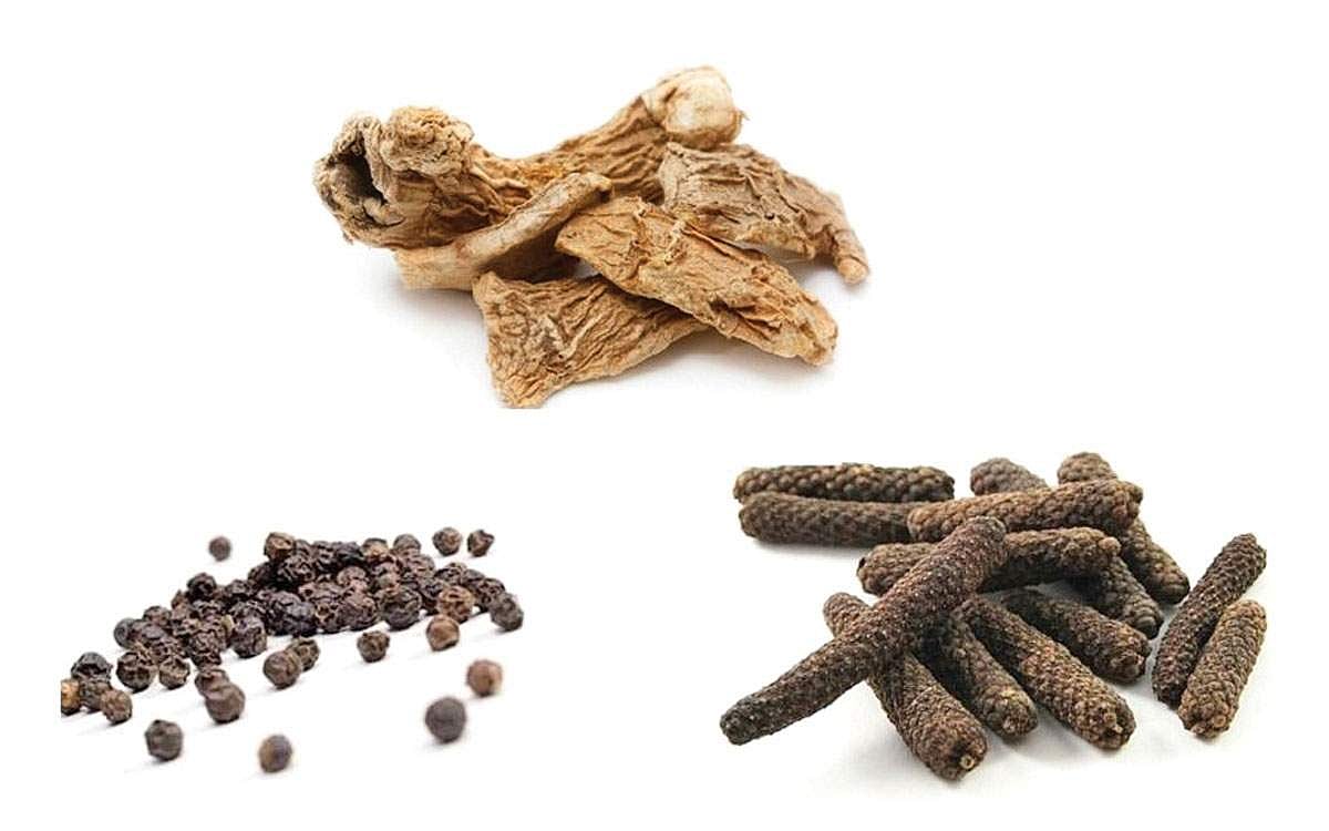 தமிழர் வாழ்வியலில்...