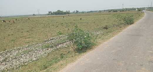 ஒரு புறம் அதிக தண்ணீரால் அழியும் பயிா்கள், மறுபுறம் தண்ணீரின்றி வாடும் பயிா்கள்