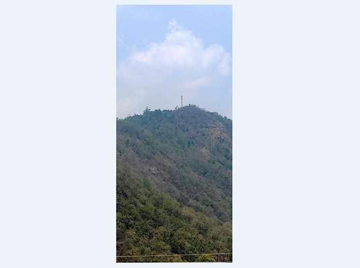 தமிழக வனப்பகுதியில் ஆக்கிரமிப்பு நிலங்கள் மீட்கப்படுமா?