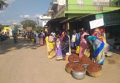 தம்மம்பட்டிக்கு விற்பனைக்கு வரும் கொல்லிமலை புளி