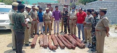 ஒசூரில் கேட்பாரற்றுக் கிடந்த ரூ. 50 லட்சம் மதிப்பிலான செம்மரக் கட்டைகள் பறிமுதல்