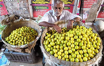 எகிறும் எலுமிச்சை விலை! ஒரு பழம் ரூ. 10-க்கு விற்பனை; காரணம்?