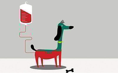 ரத்தத்தின் ரத்தமே... - 61