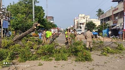 சீர்காழியில் பழைமையான வேப்பமரம் விழுந்து போக்குவரத்து பாதிப்பு