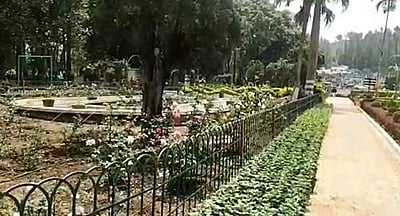 சுற்றுலாப் பயணிகளை வரவேற்க ஏற்காட்டில் பூத்துக்குலுங்க தொடங்கியிருக்கும் மலர்கள்