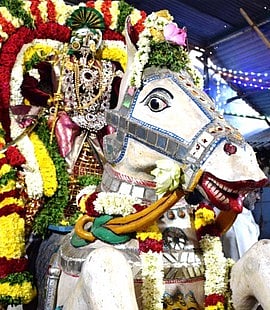 குதிரை வாகனத்தில் சென்னகேசவப் பெருமாள் வீதி உலா