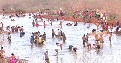 மொண்டிப்பட்டியில் மீன்பிடித் திருவிழா