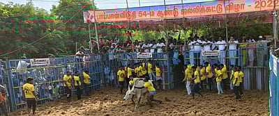 ஆலங்குடி அருகே ஜல்லிக்கட்டு: 48 போ் காயம்