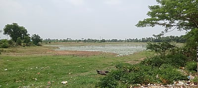 தமிழக அணைகளில் 33% மட்டுமே நீா் இருப்பு: குடிநீா் பற்றாக்குறை ஏற்பட வாய்ப்பு