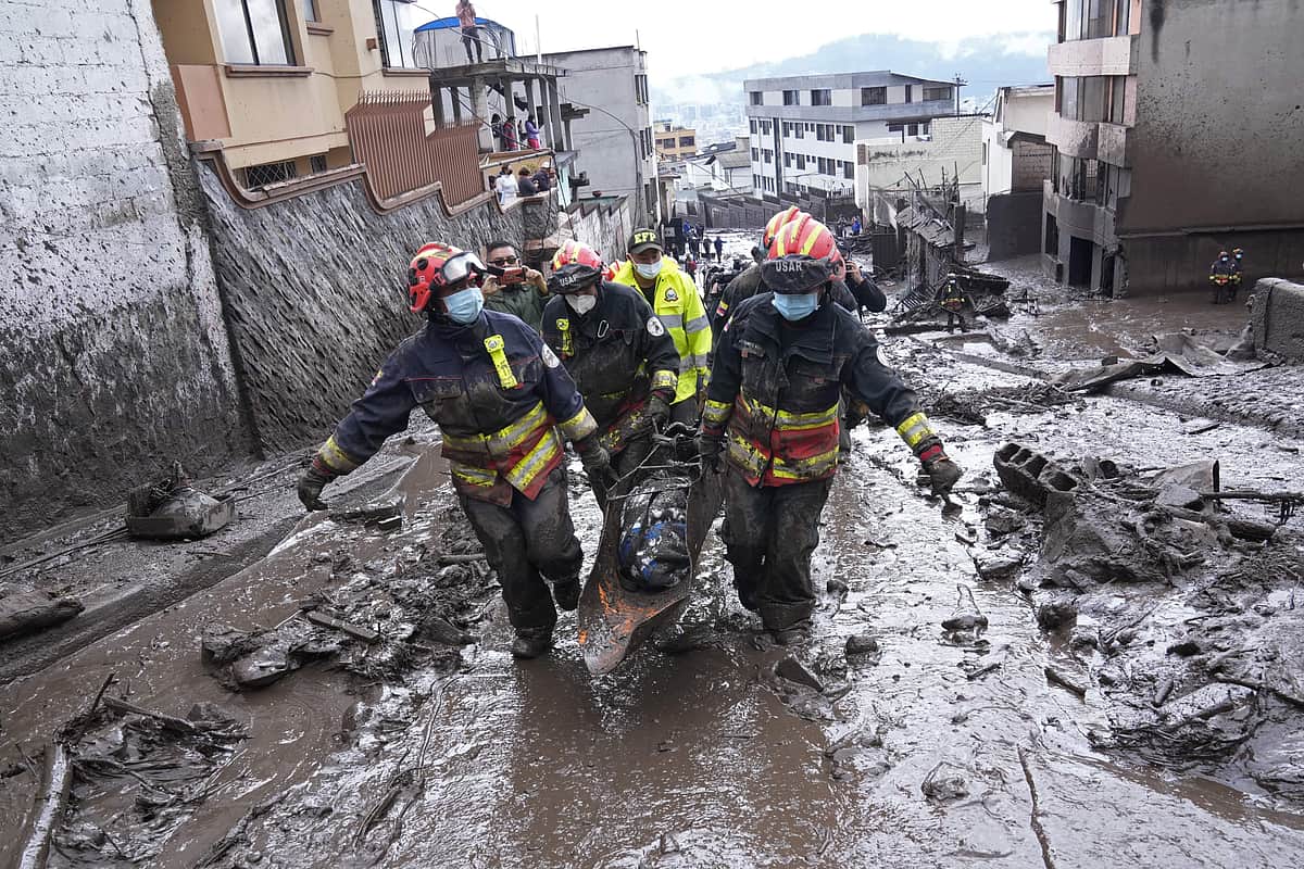 News image