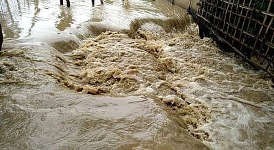 அசாம் வெள்ளம்: இதுவரை 7 பேர் பலி; 2 லட்சம் பேர் பாதிப்பு