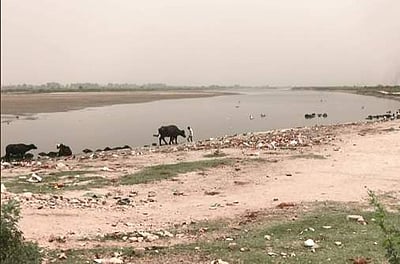 யமுனை ஆறு வற்றத் தொடங்கியது