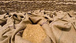 25 லட்சம் டன் கோதுமை ஏற்றுமதிக்கு மத்திய அரசு ஒப்புதல்!