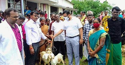 விலையில்லா வெள்ளாடுகள் அளிப்பு