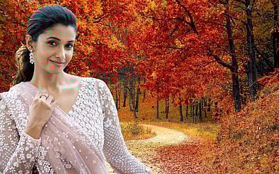 திகட்டாத பிரியா பவானி சங்கர் - புகைப்படங்கள்