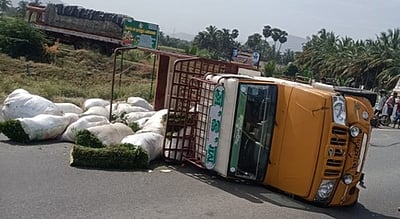 சரக்கு வாகனம் மோதி தம்பதி உள்பட 3 போ் பலி