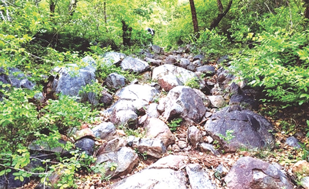 பசுமைத் தீா்ப்பாய உத்தரவால் போதமலைக்கு அமைகிறது சாலை வசதி:பழங்குடி மக்களின் 75 ஆண்டுக்காலக் கனவு நனவாகிறது!