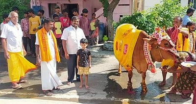 தேர்த்திருவிழா: கோயில் காளை அலங்கரித்து வரி வசூல்; பழமை மாறாமல் தொடரும் பாரம்பரியம்!