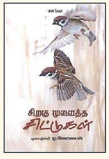 சிறகு முளைத்த சிட்டுகள்