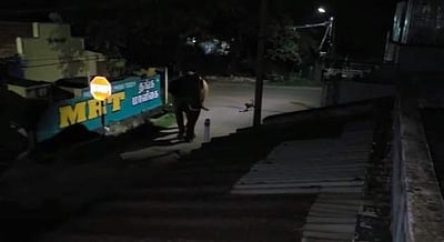 கோவையில் பாகுபலி யானையை விரட்டிய தெரு நாய்! மிரண்டு ஓடிய யானை