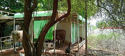 மாட்டுத் தொழுவமாக மாறிய பொதுக் கழிப்பறை!