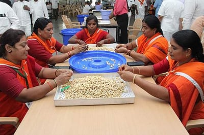 திருமலையில் முந்திரி பருப்பு உடைக்கும் சேவை தொடக்கம்