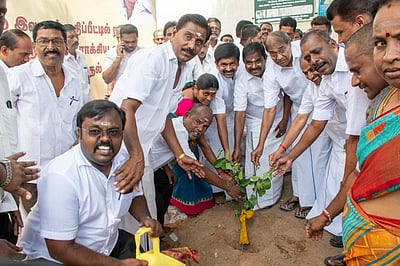 மாநகரில் ரூ.2.13 கோடி மதிப்பீட்டில் வளா்ச்சிப் பணிகள்