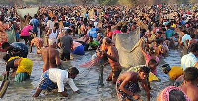 விராலிமலை அருகே மீன்பிடித் திருவிழா