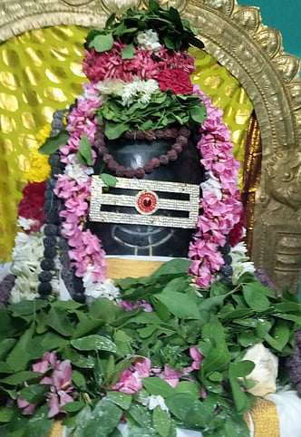 பழனி பெரியாவுடையாா் கோயிலில் பிரதோஷ வழிபாடு