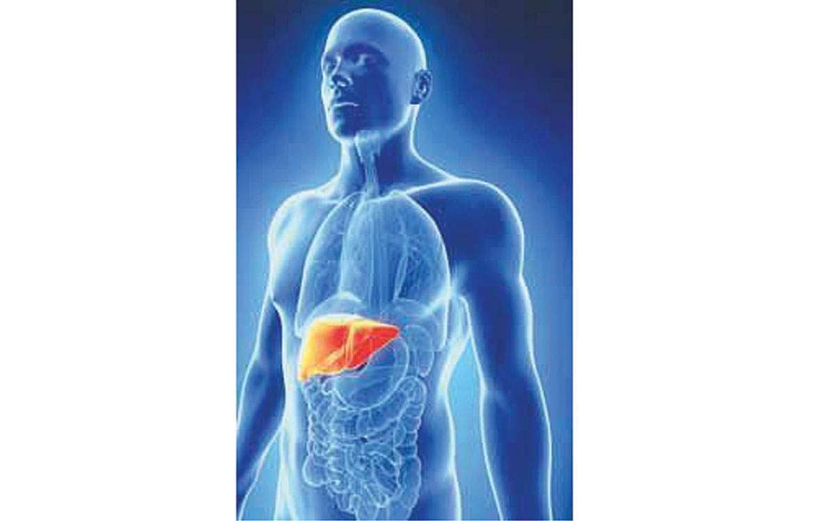 ஆயுள் காக்கும் ஆயுர்வேதம்: கல்லீரல் உபாதை நீங்க...