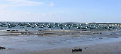 ராமேசுவரத்தில் கடல் உள்வாங்கியது: பக்தர்கள் அச்சம்